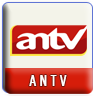antv